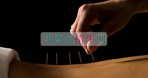 好一點(diǎn)的針灸推拿學(xué)校