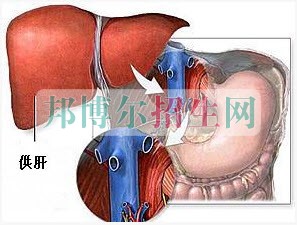 成都哪些大專(zhuān)學(xué)校的麻醉學(xué)好