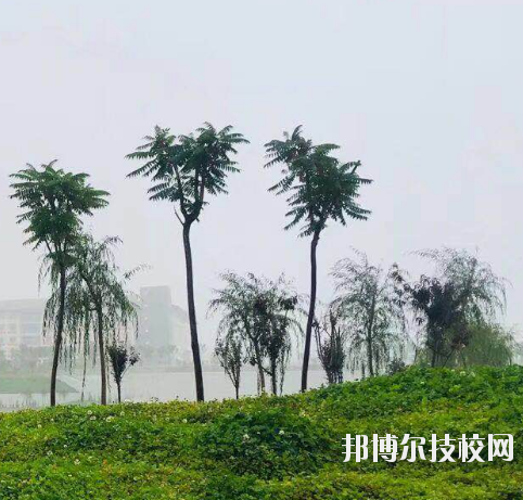 甘肅財貿(mào)職業(yè)學院2020年學費、收費多少