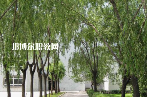 新疆喀什地區(qū)衛(wèi)生學(xué)校2021年報(bào)名條件、招生要求、招生對(duì)象