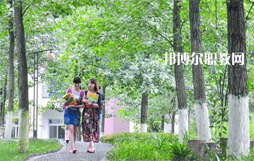 四川外國語大學(xué)成都學(xué)院中高職銜接部2022年招生辦聯(lián)系電話