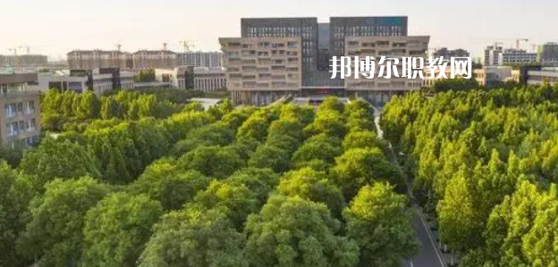 2023山東十大?？茖W(xué)校名單及排行榜